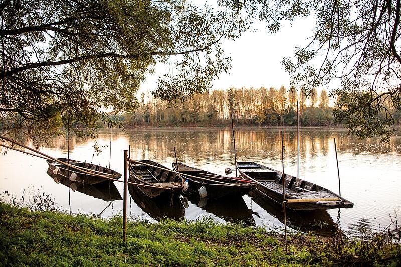 [Translate to Anglais:] 