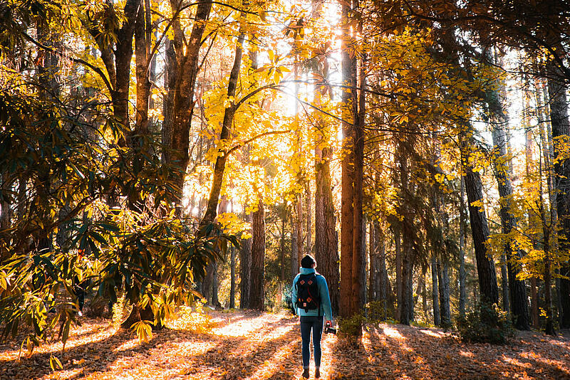 [Translate to Anglais:] 