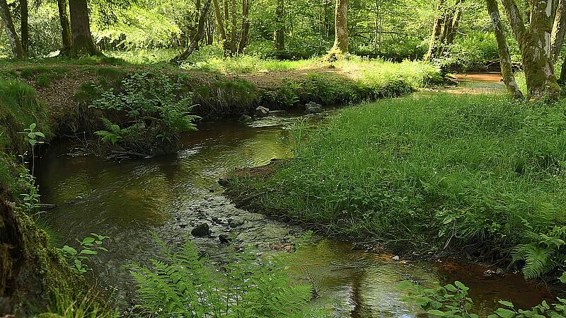 [Translate to Anglais:] 