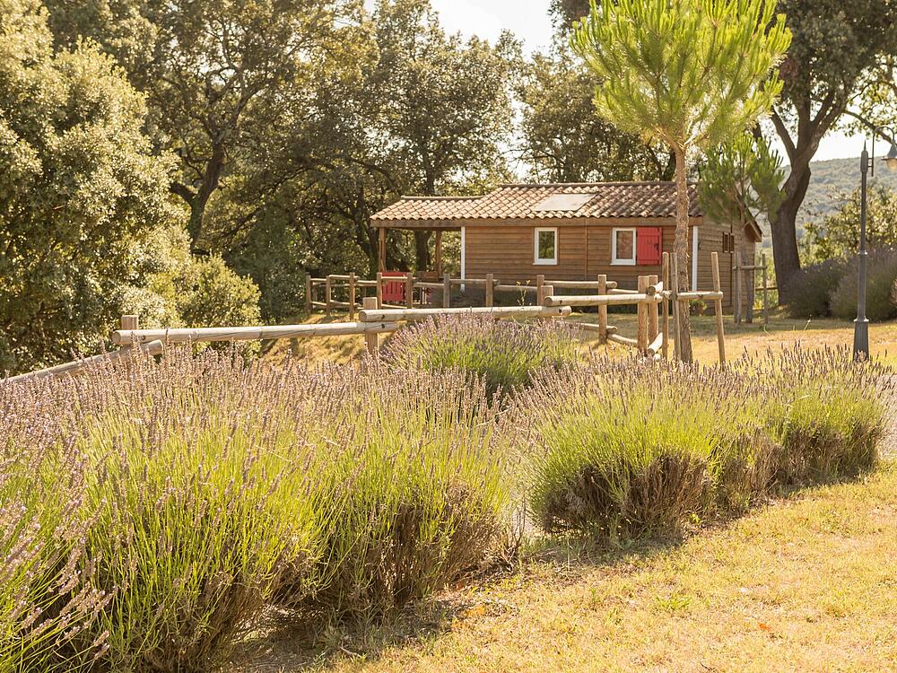 Campsite Castel Domaine de Sévenier & Spa LAGORCE Auvergne-Rhône-Alpes 1