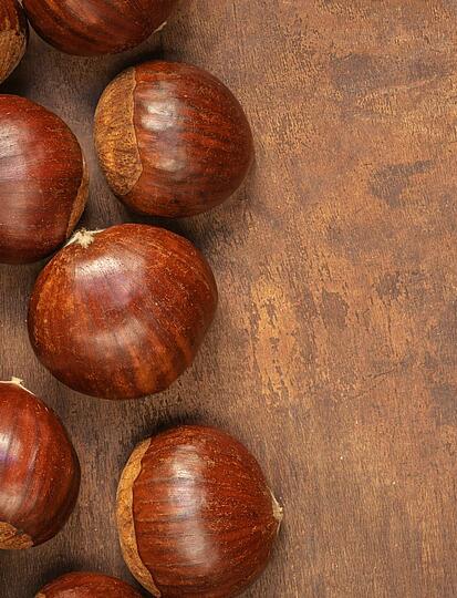 The chestnut fondant from Domaine de Sévenier, a 100% Ardèche delicacy