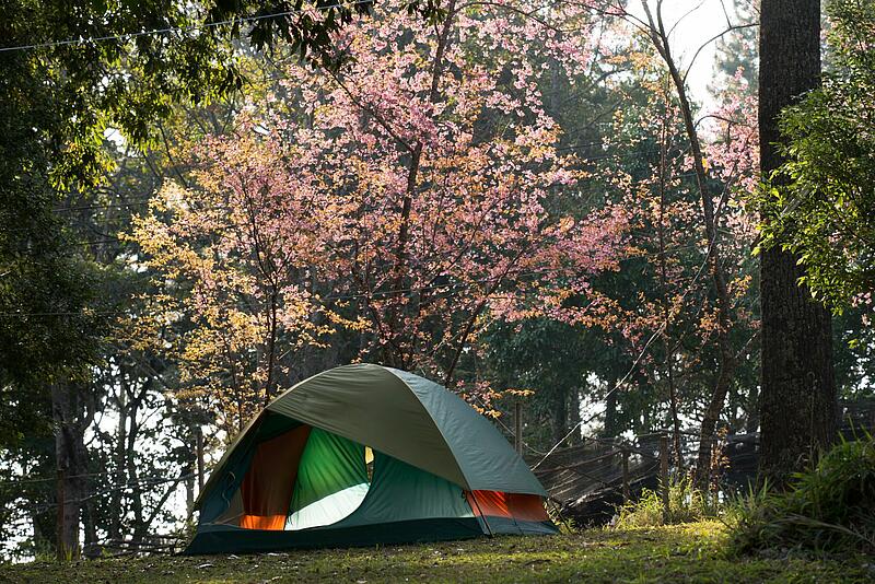 [Translate to Anglais:] 