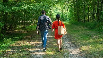 The history of Parc de Fierbois campsite