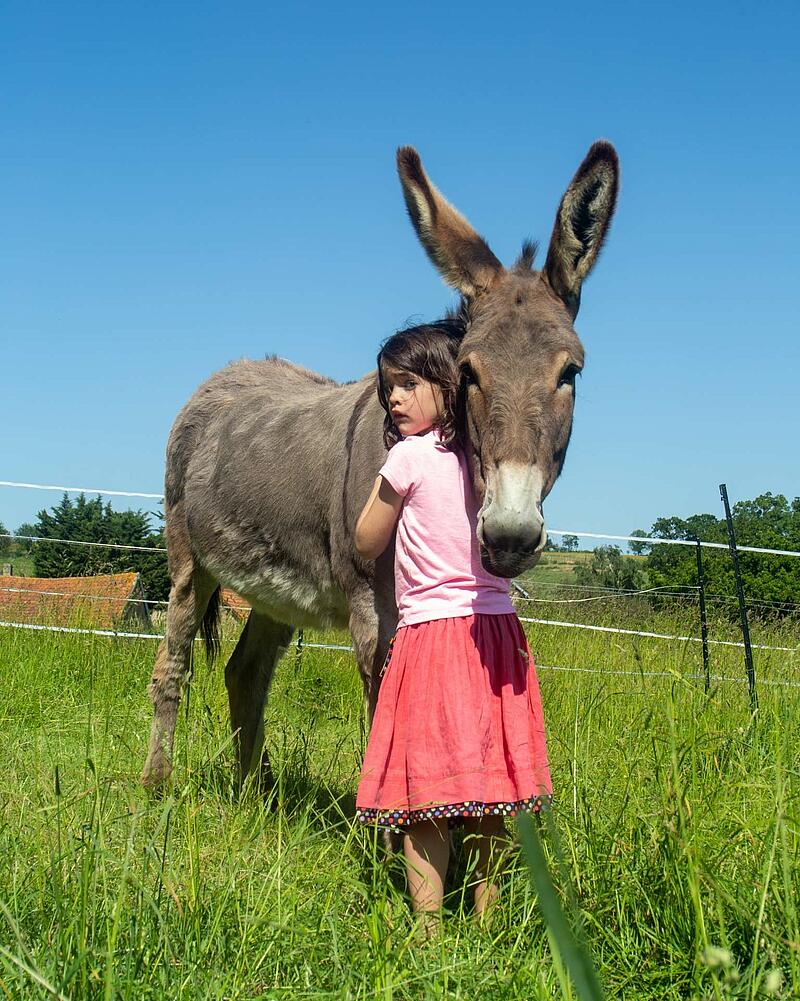 [Translate to Anglais:] A little girl hugging a gentle grey donkey in a green field under a blue sky, illustrating the family-friendly activities at Les Castels.