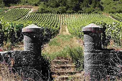 Burgundy wine route: discover the most beautiful itineraries