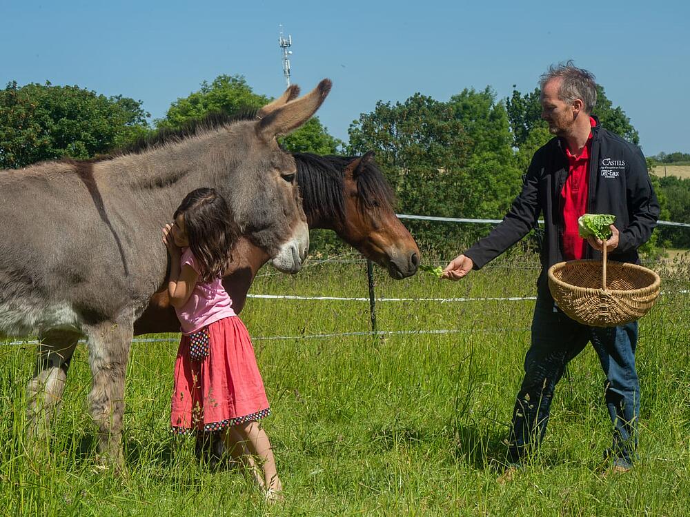 Campsite Castel Camping Château de Lez-Eaux Saint Pair sur mer Normandy 11