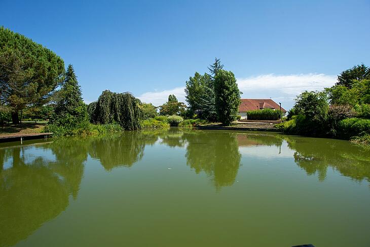 View over one of the ponds at Les Bois du Bardelet Pond at Les Bois du Bardelet campsite in the Loire Valley