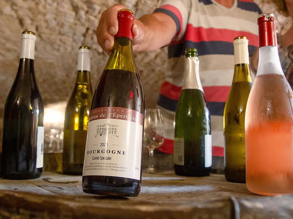 Campsite Castel Camping Château de L'Epervière Gigny-sur-Saône Bourgogne-Franche-Comté 9