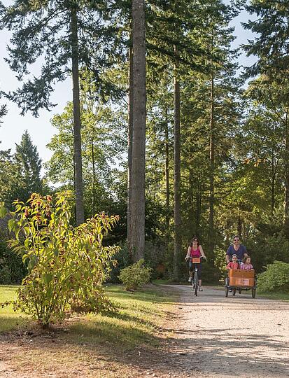 Luxury camping with the family: comfortable holidays close to nature