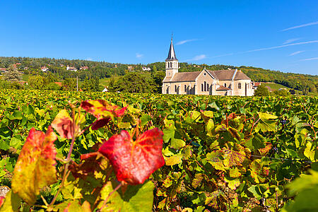 Camping Chalon-sur-Sane : our rentals | Les Castels