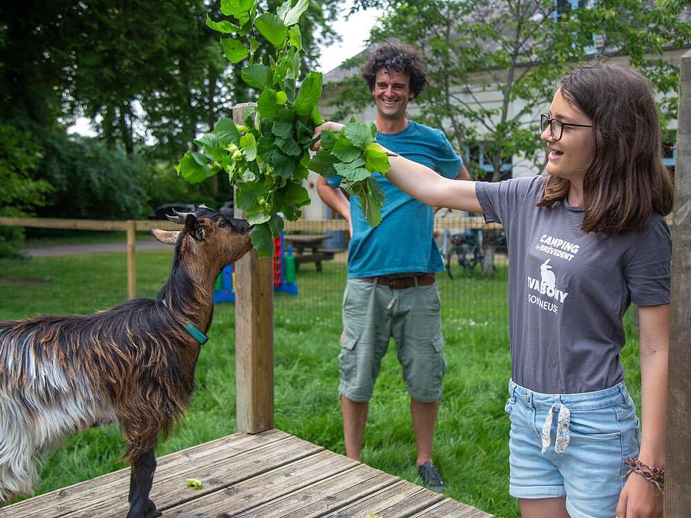 Campsite Castel Camping Le Brévedent Le Brévedent Normandy 5