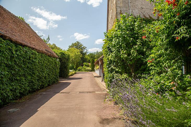 Camping luxe en Sologne Les Bois de Bardelet camping en Sologne