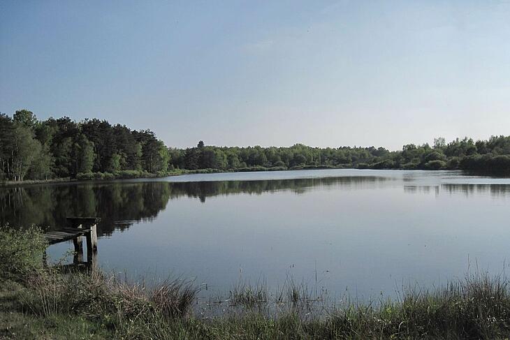 Typical pond landscape in the Sologne region Pond in the heart of Sologne surrounded by forest and nature