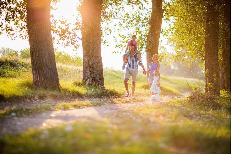 [Translate to Anglais:] 