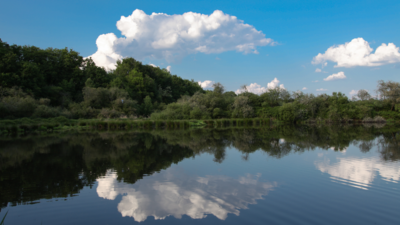 What to do in Sologne