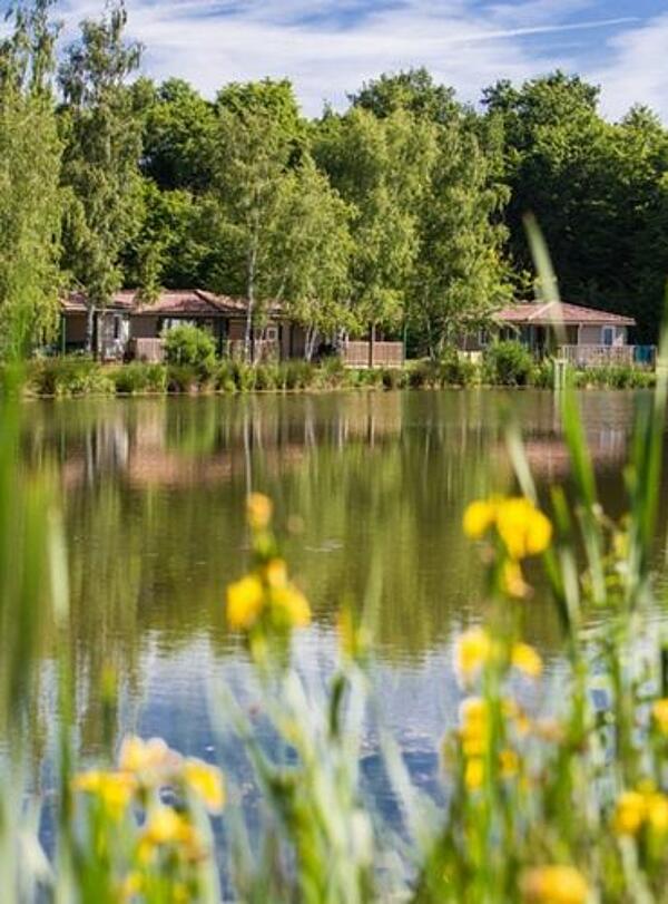 Chalet rental