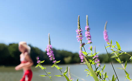 [Translate to Anglais:] 