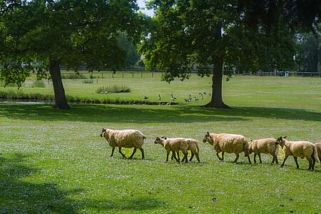 [Translate to Anglais:] 