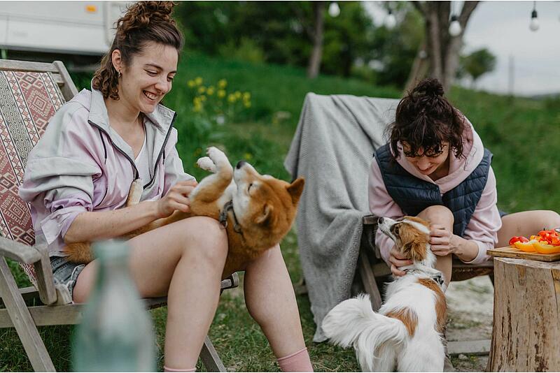 [Translate to Anglais:] 