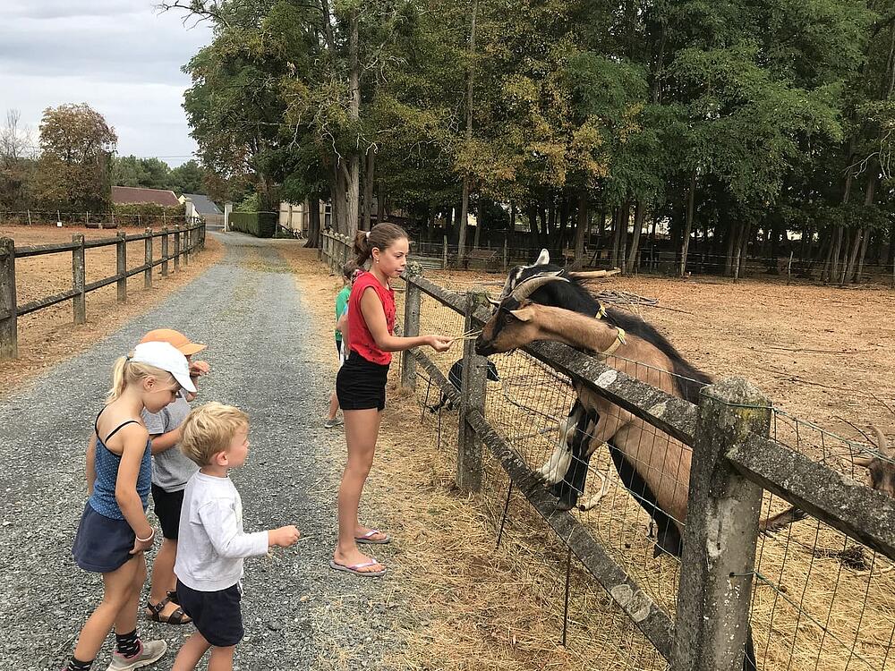 Campsite Castel Camping Château de Chanteloup SILLE-LE-PHILIPPE Pays de la Loire 11