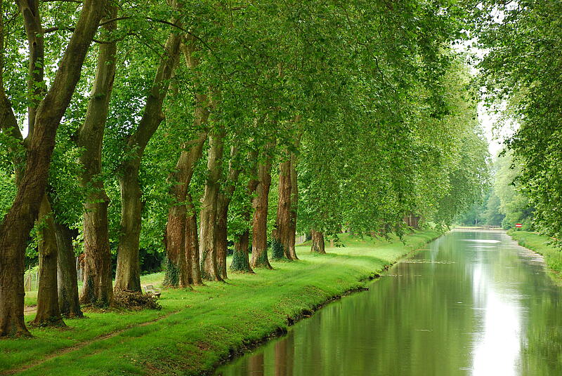 [Translate to Anglais:] 