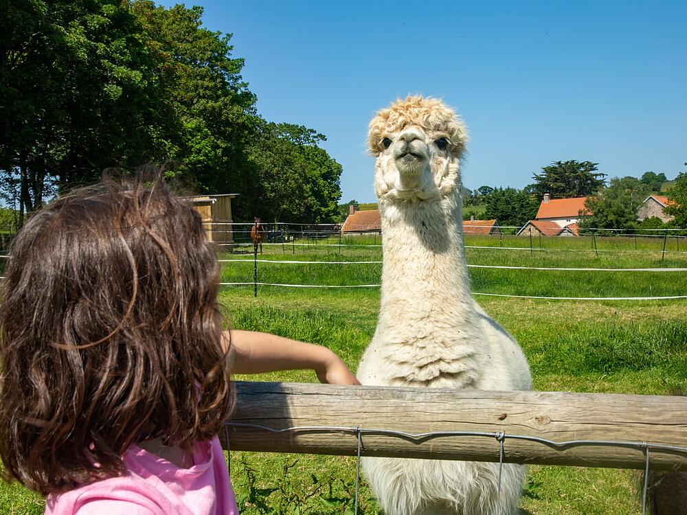 Campsite Castel Camping Château de Lez-Eaux Saint Pair sur mer Normandy 10