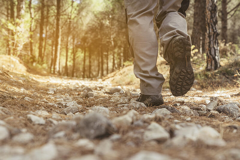 [Translate to Anglais:] 