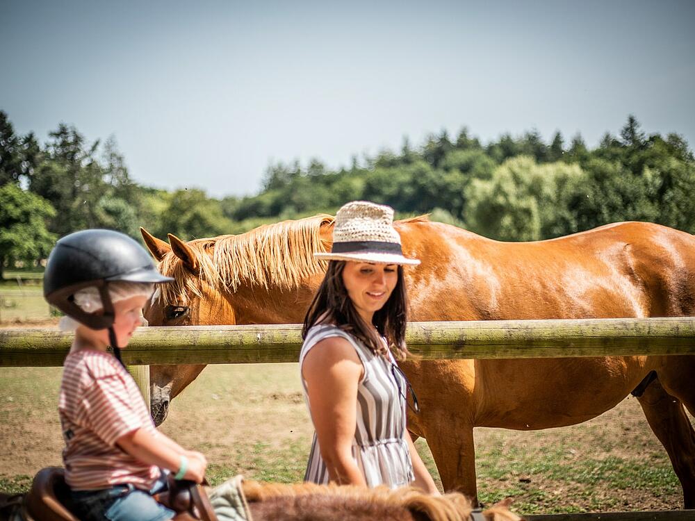 Campsite Castel Camping Les Ormes, Domaine & Resort DOL DE BRETAGNE Brittany 18