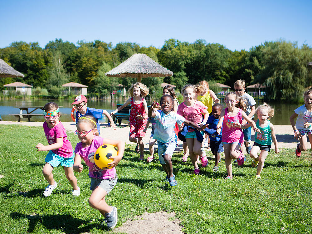 Campsite Castel Camping Les Bois du Bardelet GIEN Centre-Loire Valley 6