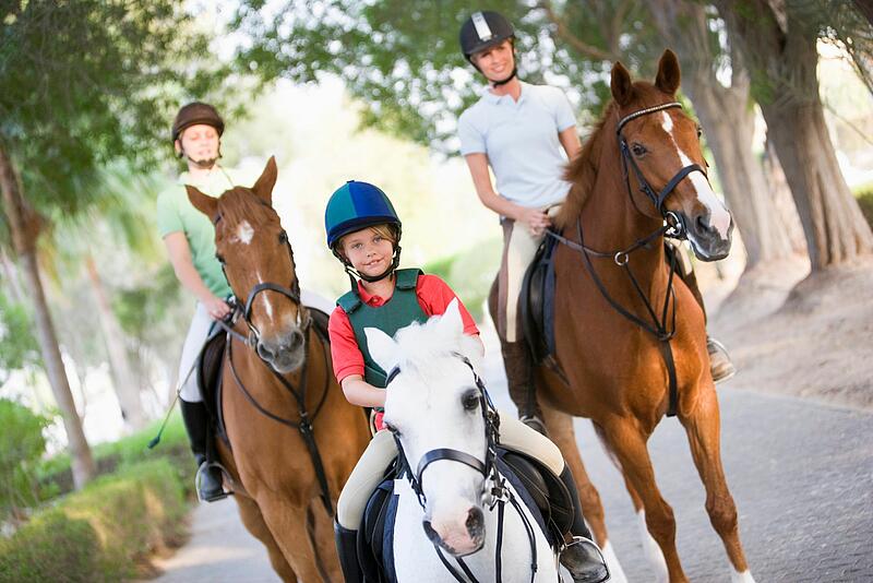 [Translate to Anglais:] 