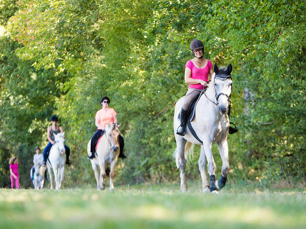 Campsite Castel Camping La Garangeoire Saint Julien des Landes Pays de la Loire 15