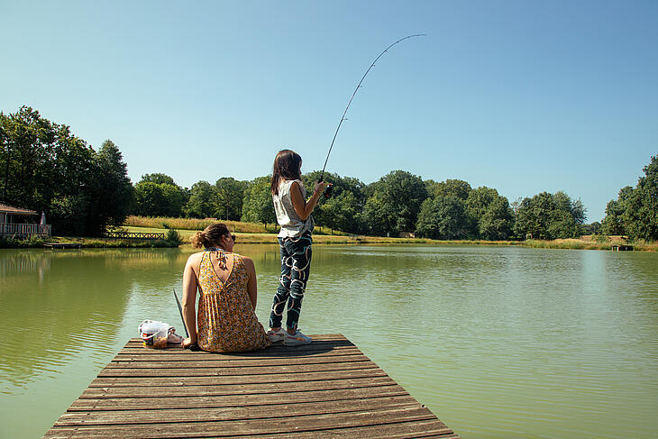 campsite bardelet cambiste bois de bardelet