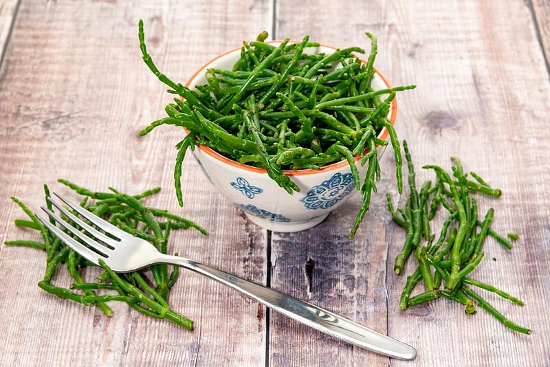 [Translate to Anglais:] 