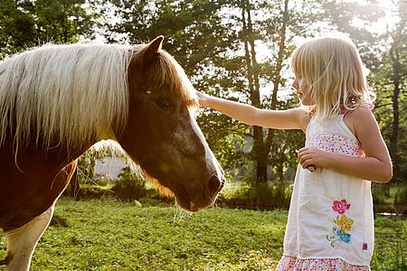 [Translate to Anglais:] 