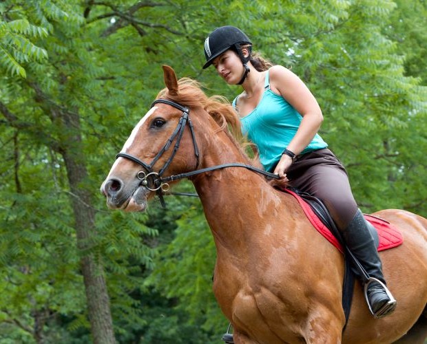 faire du poney pendant ses vacances en camping